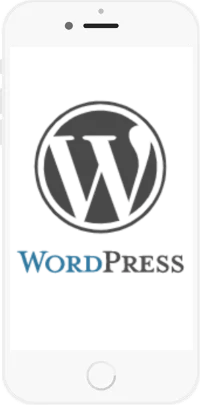 Mobile-Responsive Wordpress Website Picture